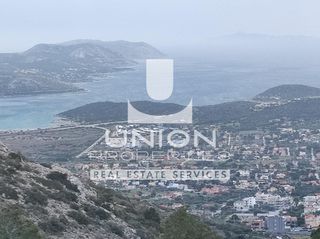 Οικόπεδο 1.216 τ.μ. προς πώληση