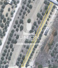 Αγροτεμάχια 962 τ.μ. προς πώληση