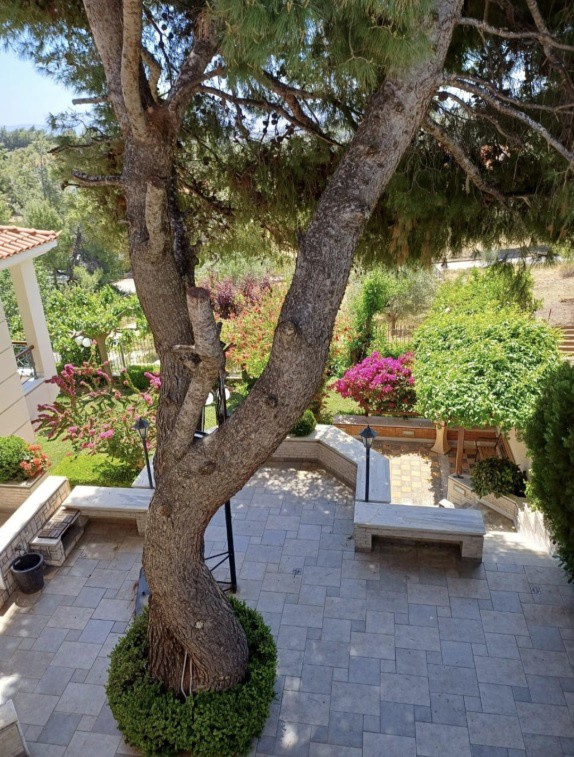 Μονοκατοικία 500 τ.μ. πρός πώληση, Αθήνα - Ανατολικά Προάστια, Σπάτα