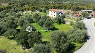 Αγροτεμάχια 3.215 τ.μ. για πώληση