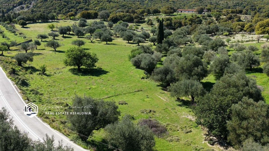 Αγροτεμάχια 3.215 τ.μ. προς πώληση, Σάμη