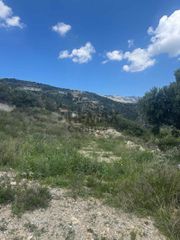 Αγροτεμάχια 2.871,45 τ.μ. για πώληση, Ν. Ρεθύμνου, Φοινίκας-thumb-7