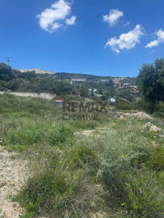 Αγροτεμάχια 2.871,45 τ.μ. πρός πώληση, Ν. Ρεθύμνου, Φοινίκας