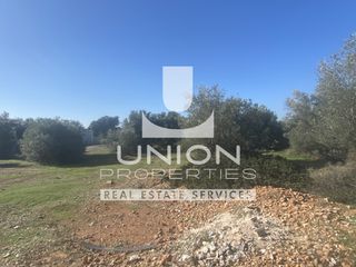 Οικόπεδο 4.878 τ.μ. προς πώληση