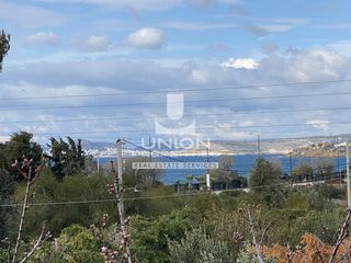Μονοκατοικία 270 τ.μ. για ενοικίαση