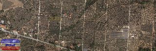 Μονοκατοικία 35,80 τ.μ. για πώληση, Ν. Καβάλας, Θάσος-thumb-5