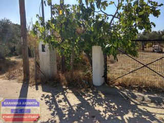 Μονοκατοικία 35,80 τ.μ. για πώληση, Ν. Καβάλας, Θάσος-thumb-6
