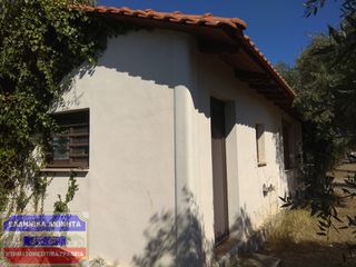 Μονοκατοικία 35,80 τ.μ. για πώληση, Ν. Καβάλας, Θάσος-thumb-21