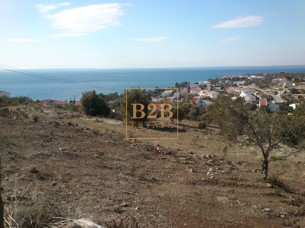 Αγροτεμάχια 7.200 τ.μ. προς πώληση, Ψακούδια