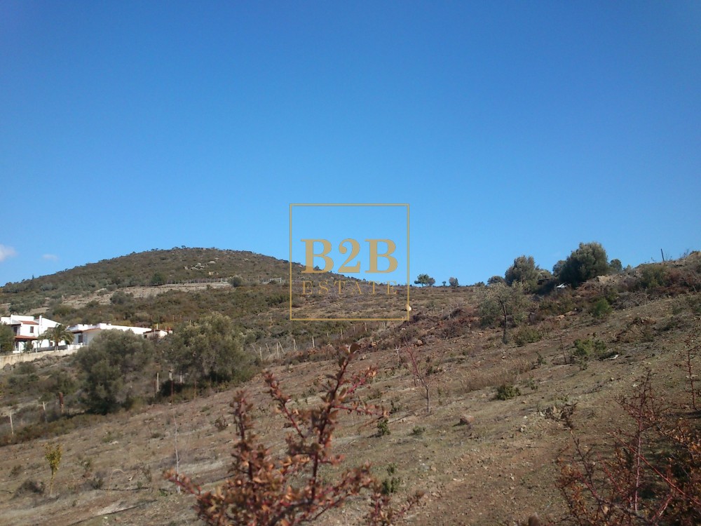 Αγροτεμάχια 7.200 τ.μ. προς πώληση, Ψακούδια