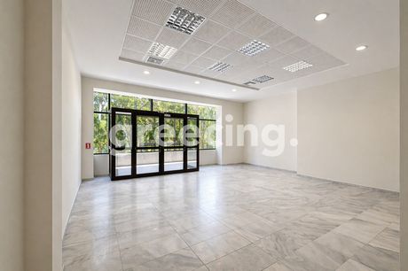 Office 1.000 sqm for rent