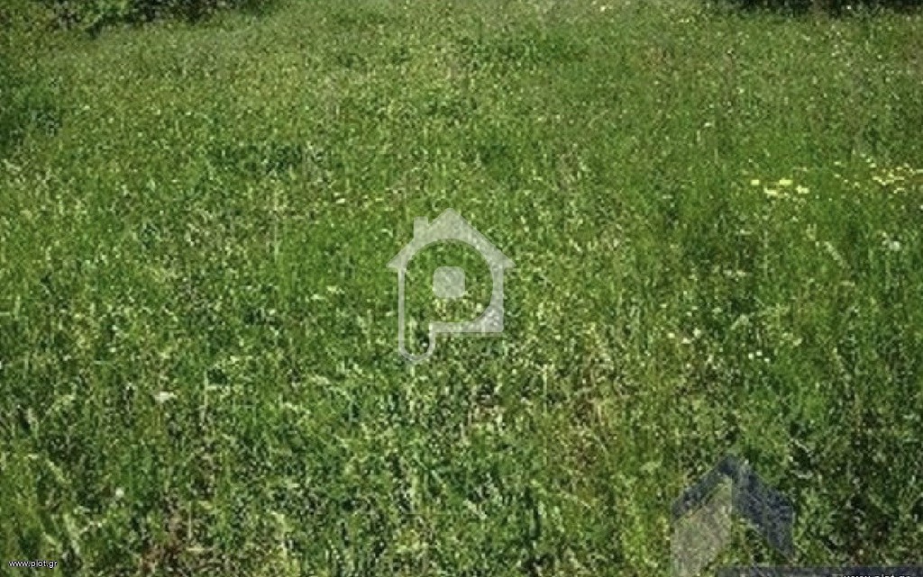 Αγροτεμάχια 71.000 τ.μ. προς πώληση, Πλάκα Δήλεσι