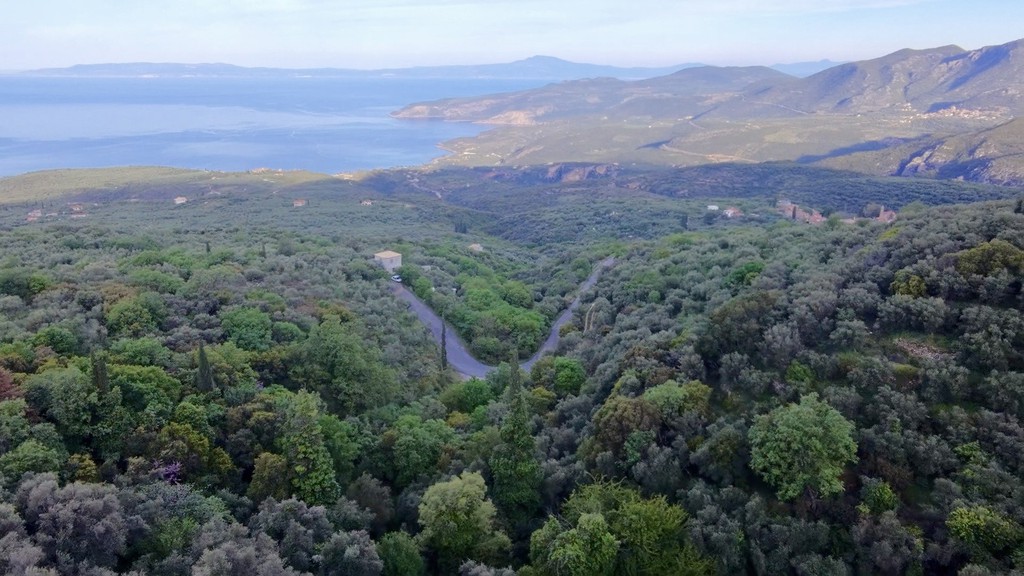 Αγροτεμάχια 7.884,70 τ.μ. πρός πώληση, Μεσσηνία, Λεύκτρος