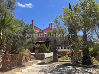 Βίλλα 400 τ.μ. για πώληση, Εύβοια, Στύρα-thumb-23