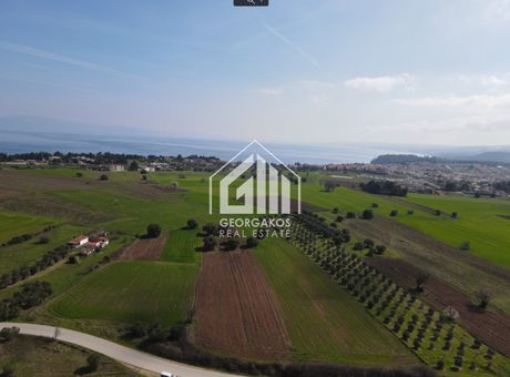 Αγροτεμάχια 6.283 τ.μ. προς πώληση