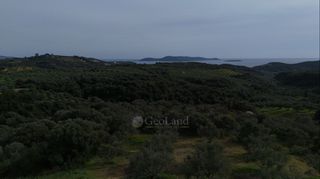 Αγροτεμάχια 9.970 τ.μ. για πώληση, Μεσσηνία, Μεθώνη-thumb-19