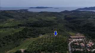 Αγροτεμάχια 9.970 τ.μ. για πώληση, Μεσσηνία, Μεθώνη-thumb-1