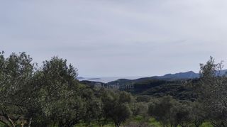 Αγροτεμάχια 9.970 τ.μ. για πώληση, Μεσσηνία, Μεθώνη-thumb-7