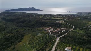 Αγροτεμάχια 9.970 τ.μ. για πώληση, Μεσσηνία, Μεθώνη-thumb-16