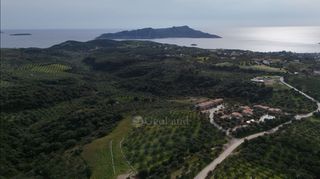 Αγροτεμάχια 9.970 τ.μ. για πώληση, Μεσσηνία, Μεθώνη-thumb-12