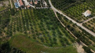 Αγροτεμάχια 9.970 τ.μ. για πώληση, Μεσσηνία, Μεθώνη-thumb-5