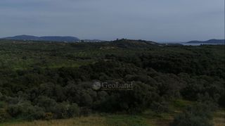 Αγροτεμάχια 9.970 τ.μ. για πώληση, Μεσσηνία, Μεθώνη-thumb-17