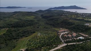 Αγροτεμάχια 9.970 τ.μ. για πώληση, Μεσσηνία, Μεθώνη-thumb-10