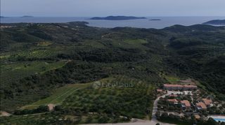 Αγροτεμάχια 9.970 τ.μ. για πώληση
