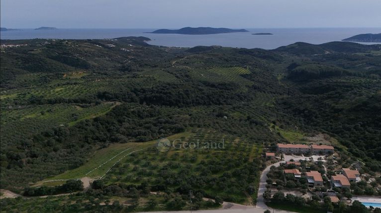 Αγροτεμάχια 9.970 τ.μ. για πώληση, Μεσσηνία, Μεθώνη