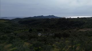 Αγροτεμάχια 9.970 τ.μ. για πώληση, Μεσσηνία, Μεθώνη-thumb-22