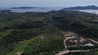 Αγροτεμάχια 9.970 τ.μ. για πώληση, Μεσσηνία, Μεθώνη-thumb-4