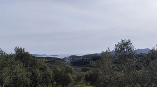 Αγροτεμάχια 9.970 τ.μ. για πώληση, Μεσσηνία, Μεθώνη-thumb-15