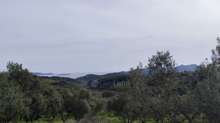 Αγροτεμάχια 9.970 τ.μ. για πώληση, Μεσσηνία, Μεθώνη-thumb-9