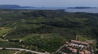 Αγροτεμάχια 9.970 τ.μ. για πώληση, Μεσσηνία, Μεθώνη-thumb-8
