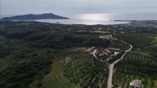 Αγροτεμάχια 9.970 τ.μ. για πώληση, Μεσσηνία, Μεθώνη-thumb-6