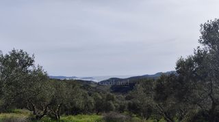 Αγροτεμάχια 9.970 τ.μ. για πώληση, Μεσσηνία, Μεθώνη-thumb-3
