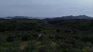 Αγροτεμάχια 9.970 τ.μ. για πώληση, Μεσσηνία, Μεθώνη-thumb-23