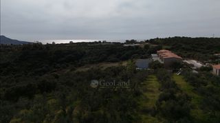 Αγροτεμάχια 9.970 τ.μ. για πώληση, Μεσσηνία, Μεθώνη-thumb-21