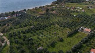 Αγροτεμάχια 4.044 τ.μ. για πώληση, Μεσσηνία, Μεθώνη-thumb-10