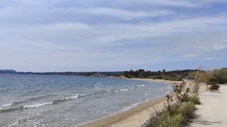 Αγροτεμάχια 4.044 τ.μ. για πώληση, Μεσσηνία, Μεθώνη-thumb-14