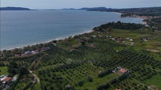 Αγροτεμάχια 4.044 τ.μ. για πώληση, Μεσσηνία, Μεθώνη-thumb-7