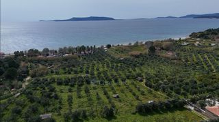 Αγροτεμάχια 4.044 τ.μ. για πώληση