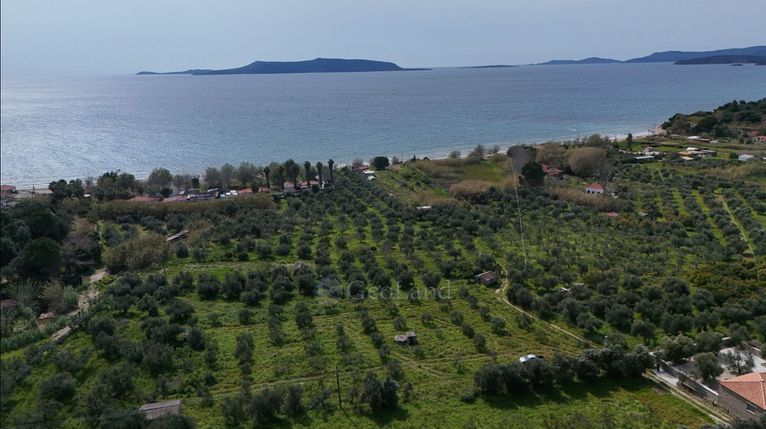 Αγροτεμάχια 4.044 τ.μ. για πώληση, Μεσσηνία, Μεθώνη