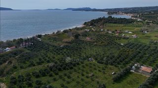 Αγροτεμάχια 4.044 τ.μ. για πώληση, Μεσσηνία, Μεθώνη-thumb-9