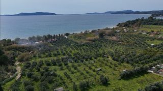 Αγροτεμάχια 4.044 τ.μ. για πώληση, Μεσσηνία, Μεθώνη-thumb-5