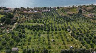 Αγροτεμάχια 4.044 τ.μ. για πώληση, Μεσσηνία, Μεθώνη-thumb-3