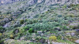 Οικόπεδο 4.600 τ.μ. για πώληση, Μεσσηνία, Καλαμάτα-thumb-6