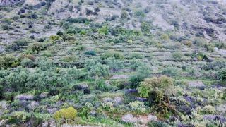 Οικόπεδο 4.600 τ.μ. για πώληση, Μεσσηνία, Καλαμάτα-thumb-5