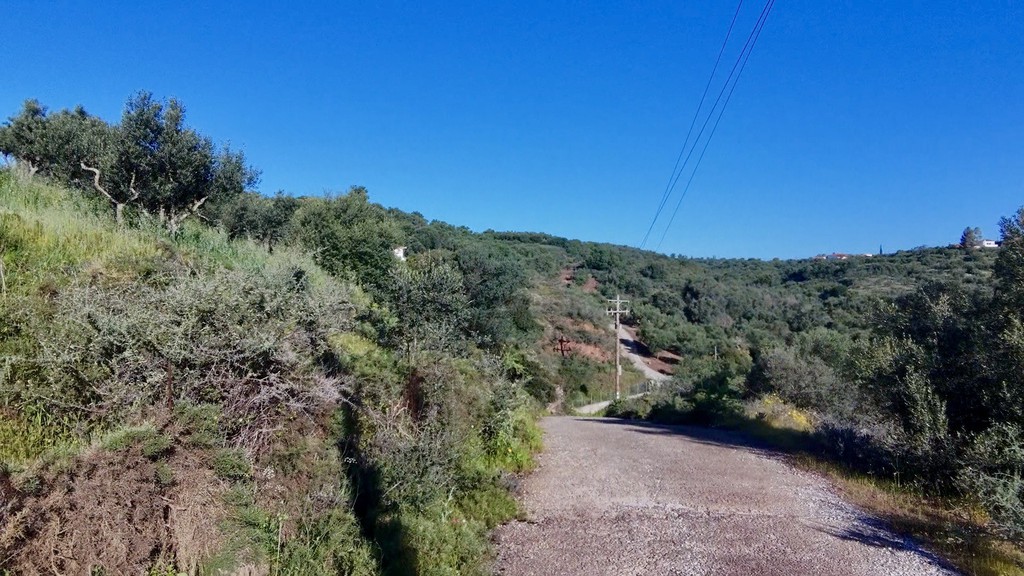 Οικόπεδο 4.600 τ.μ. πρός πώληση, Μεσσηνία, Καλαμάτα