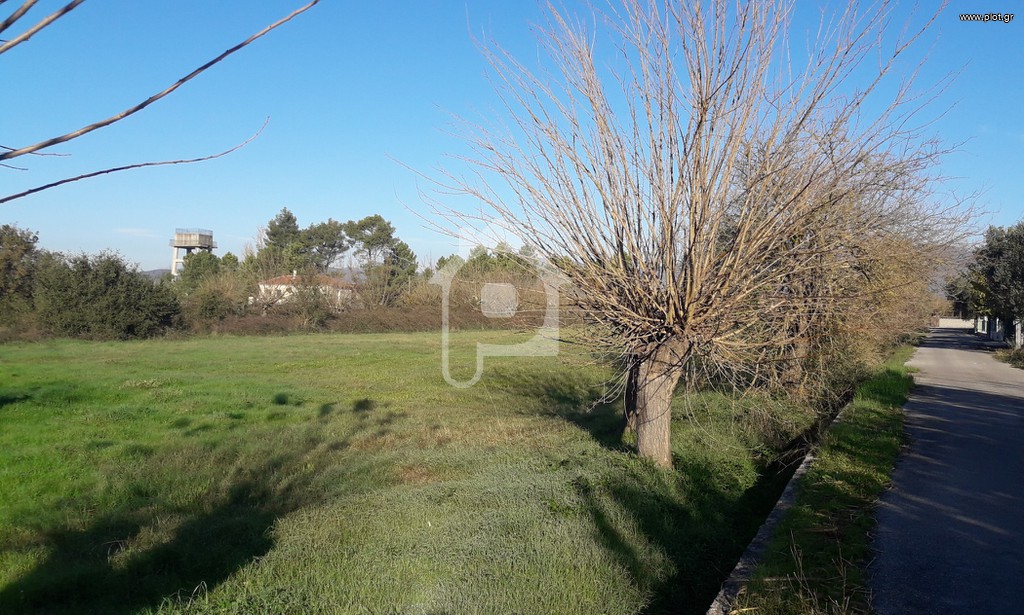 Οικόπεδο 3.600 τ.μ. για πώληση, Μεσσηνία, Οιχαλία